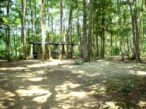 Kuboi No Campground
