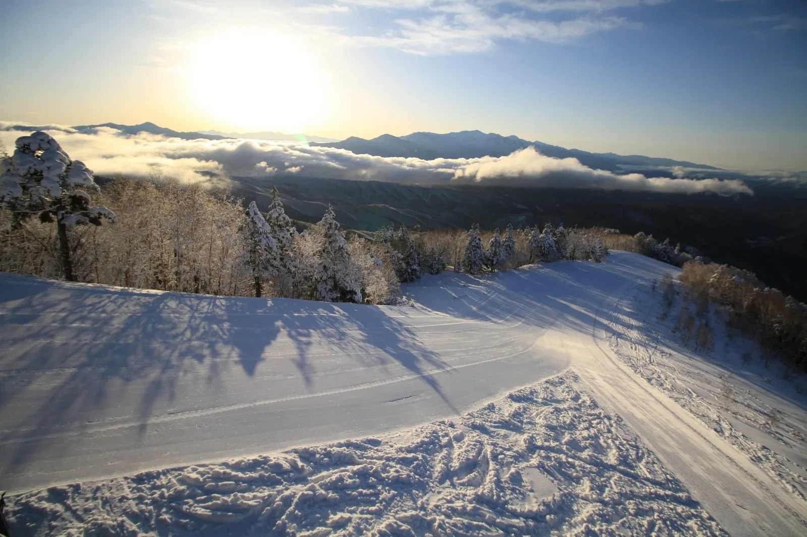 キャンプ場