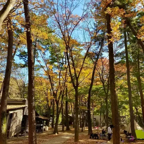 Shimizu Park Campground