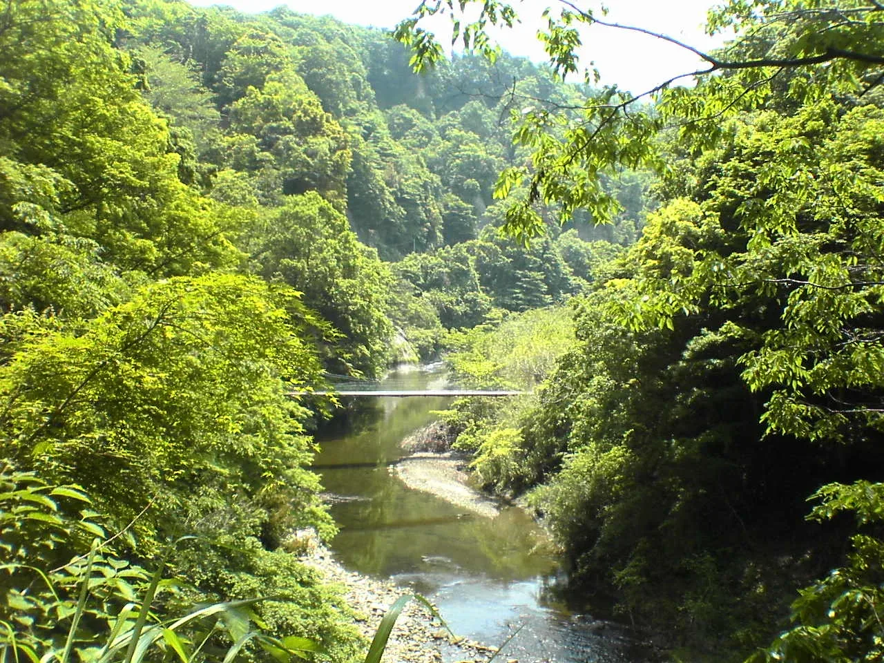 Sengoku Dai Auto Campground