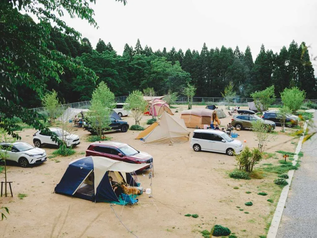 英彦山野営場