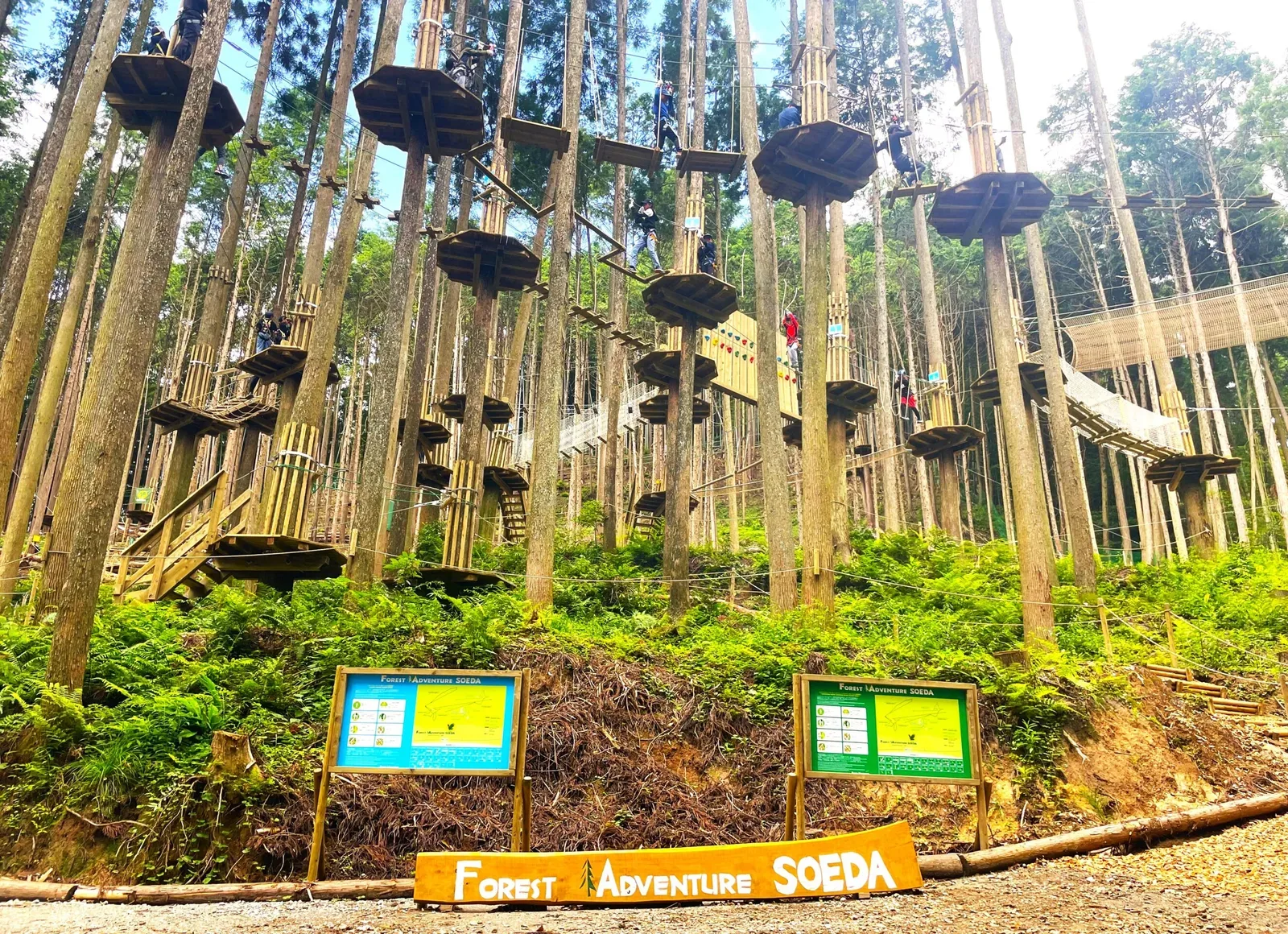 Forest Adobencha・ Soeda