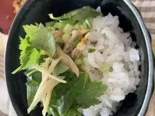 Tsukiji Kawa Park Dei Campground