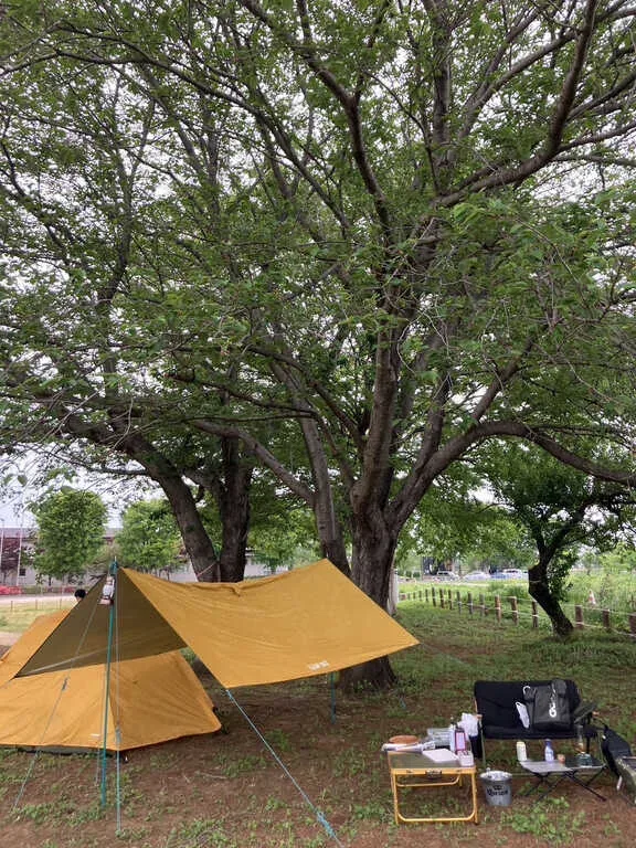 Sato Numa Resort Komorinu Campground