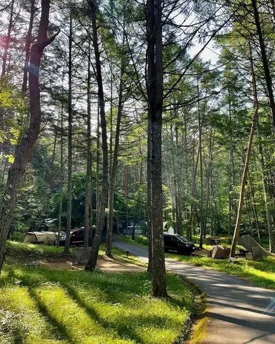 しだれ栗森林公園 キャンプ場
