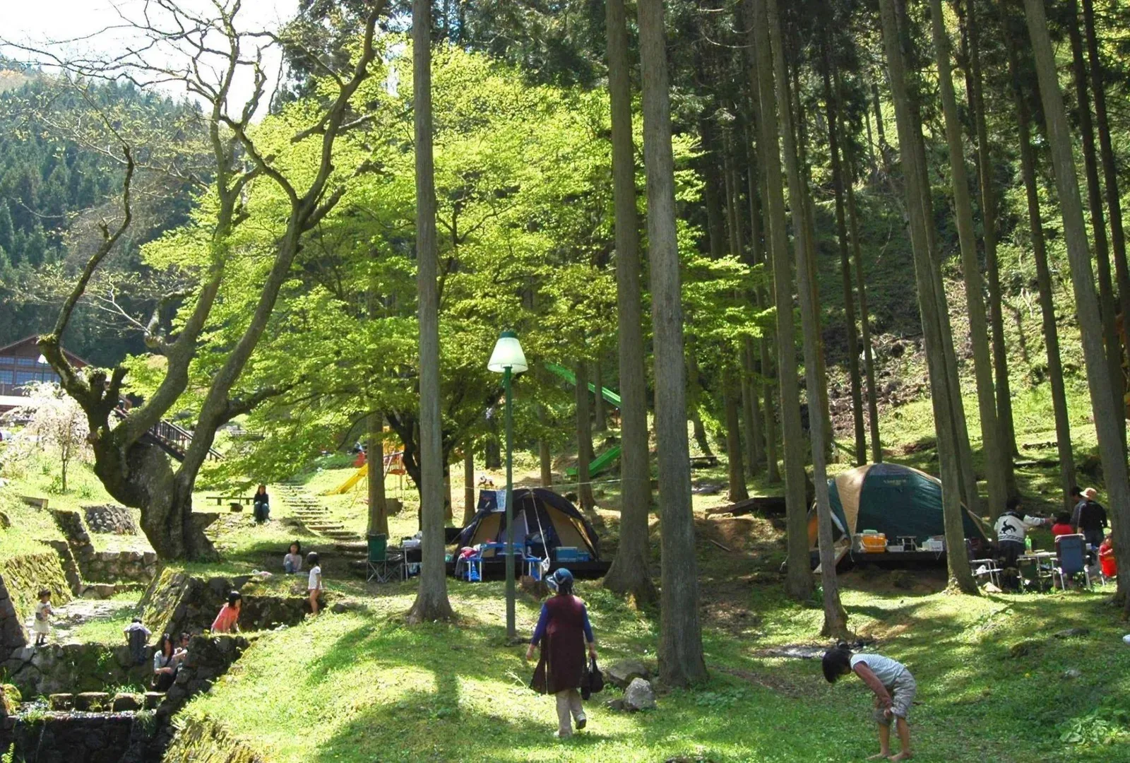 Shitsu Kokorozashi Shounyuudou Park