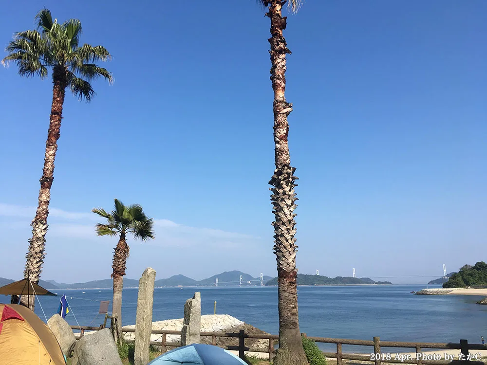 くじらロックキャンプ場