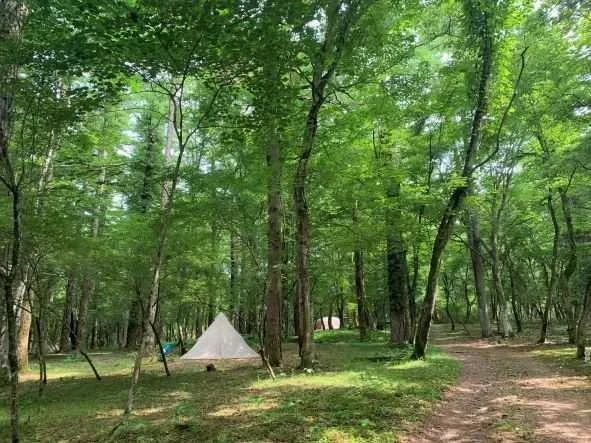 Son'ei Yamanakako Campground