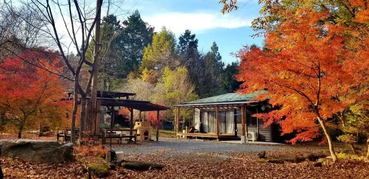 Gurifu Omote Nikko