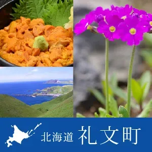 久種湖畔キャンプ場
