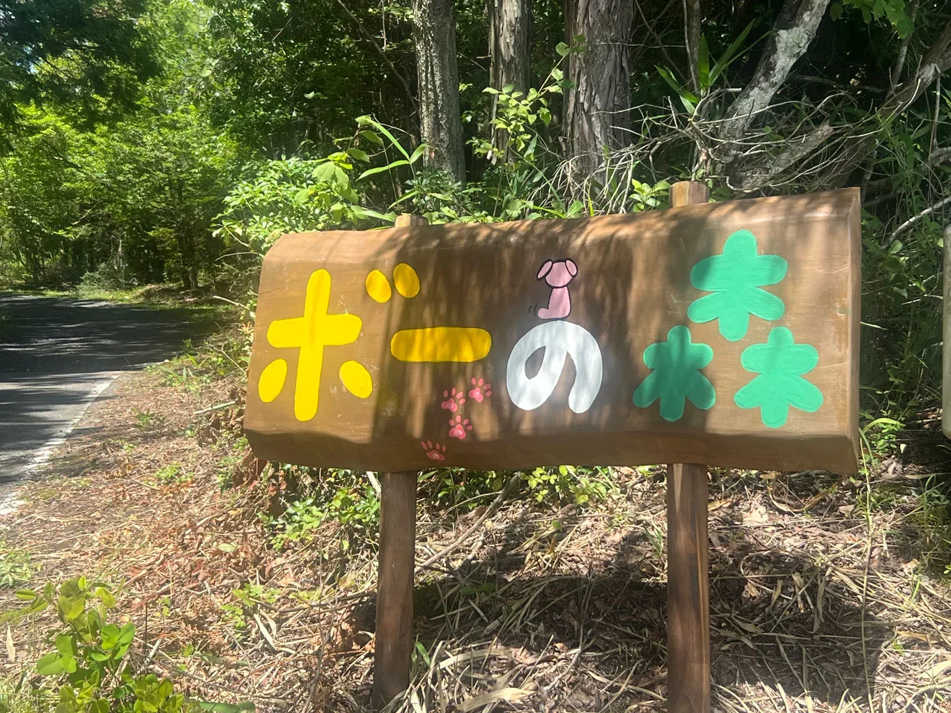 Camping ・dogguran・bo Forest