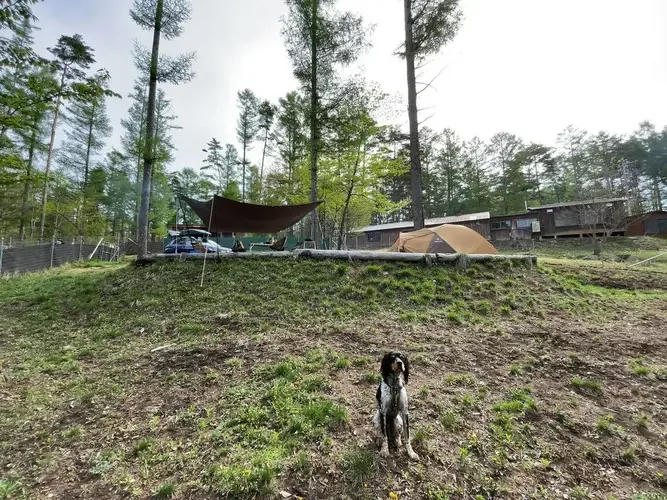 Fuji Ken Highlands Dogguran Campground