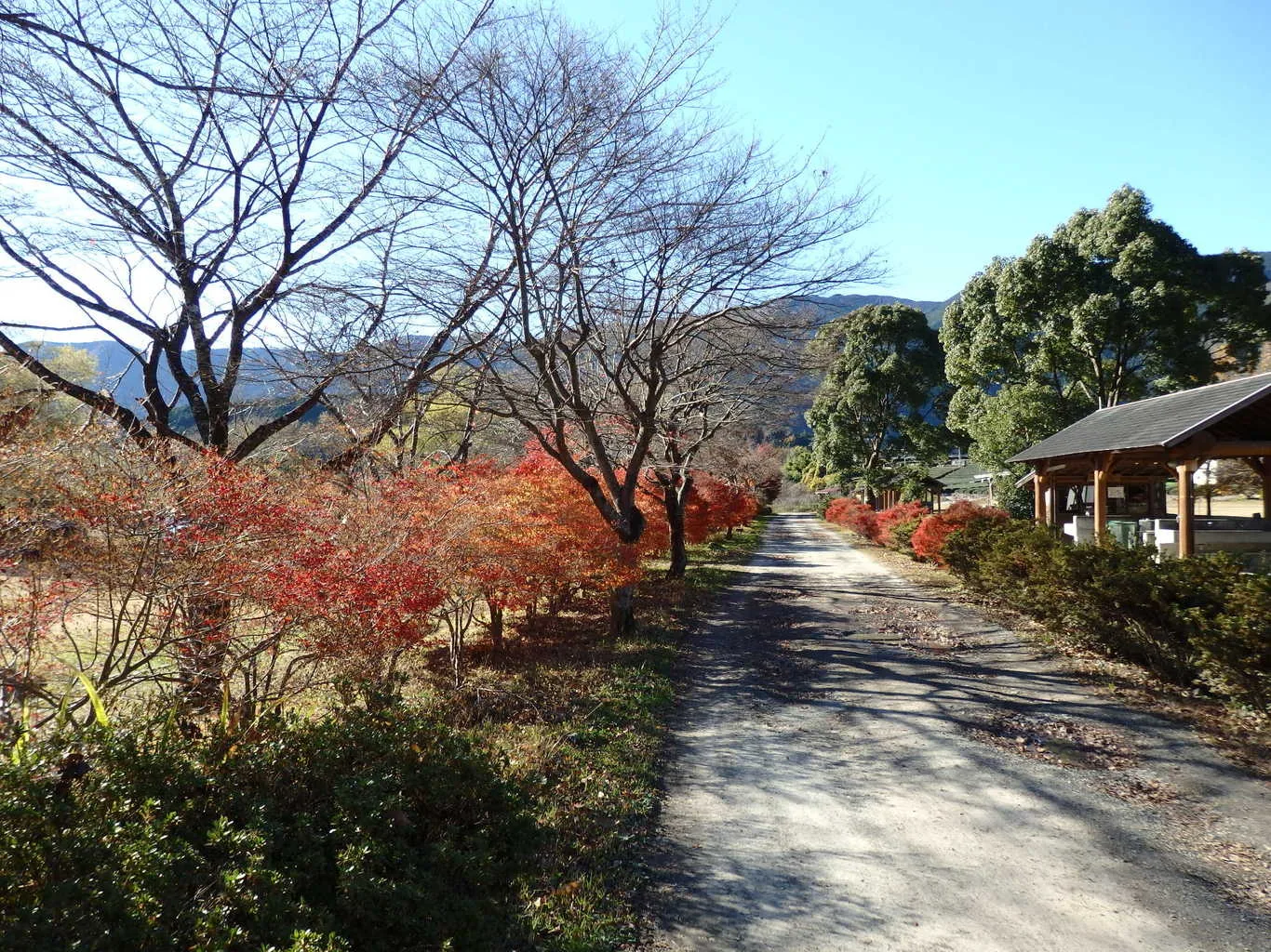 Tatsu No Kuchi Shinsui Park