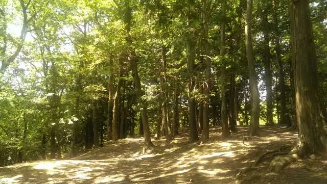 Akaiwa Shi Ryuuten Tenmondai Park