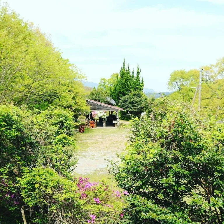 奥耶馬渓 憩の森 キャンプ場