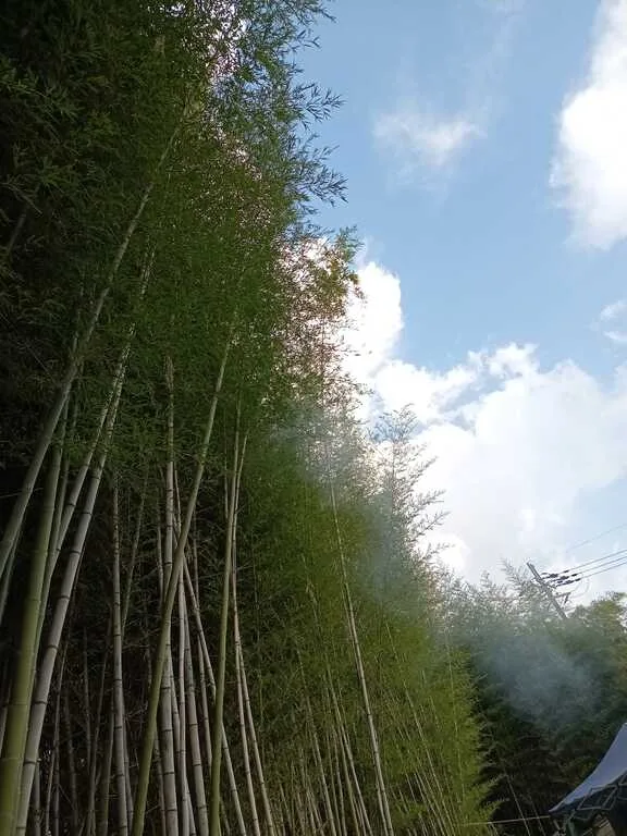 Yume Village Park Plaza Kikangentei Puchi Camping