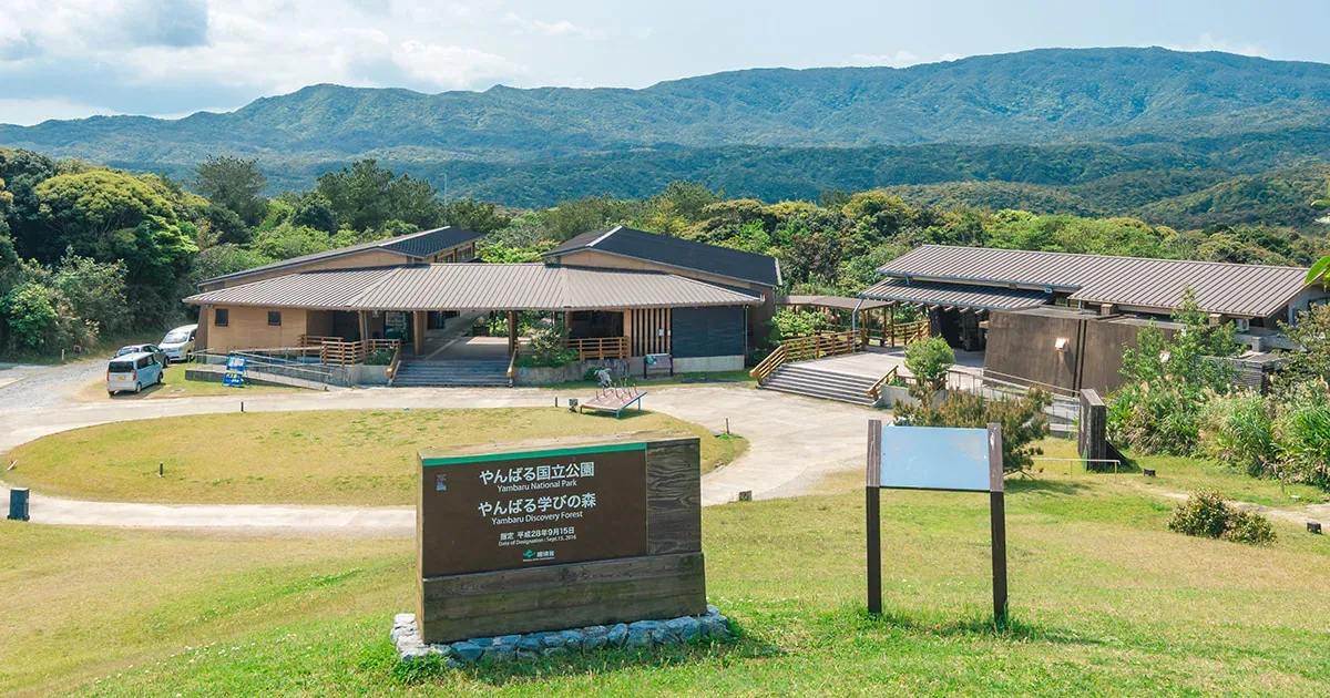 Kunigami Mura Kankyou Kyouiku Center Yanbaru Manabi Forest