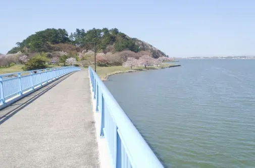 Aoshima Campground