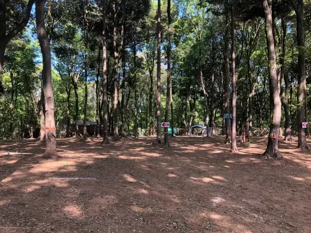 Tsukuba Inu Tachi Forest Dogguran・ Campground