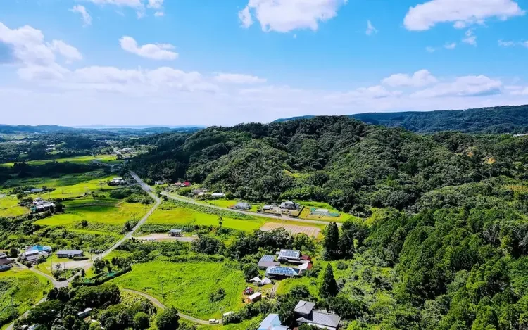 Ko MinkadeNiwa Kyan🌲Shinrin Eria