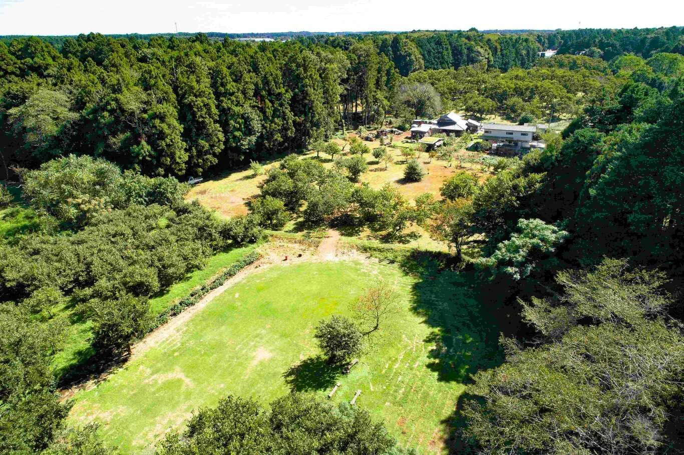 Kofun Forest Dekki Site