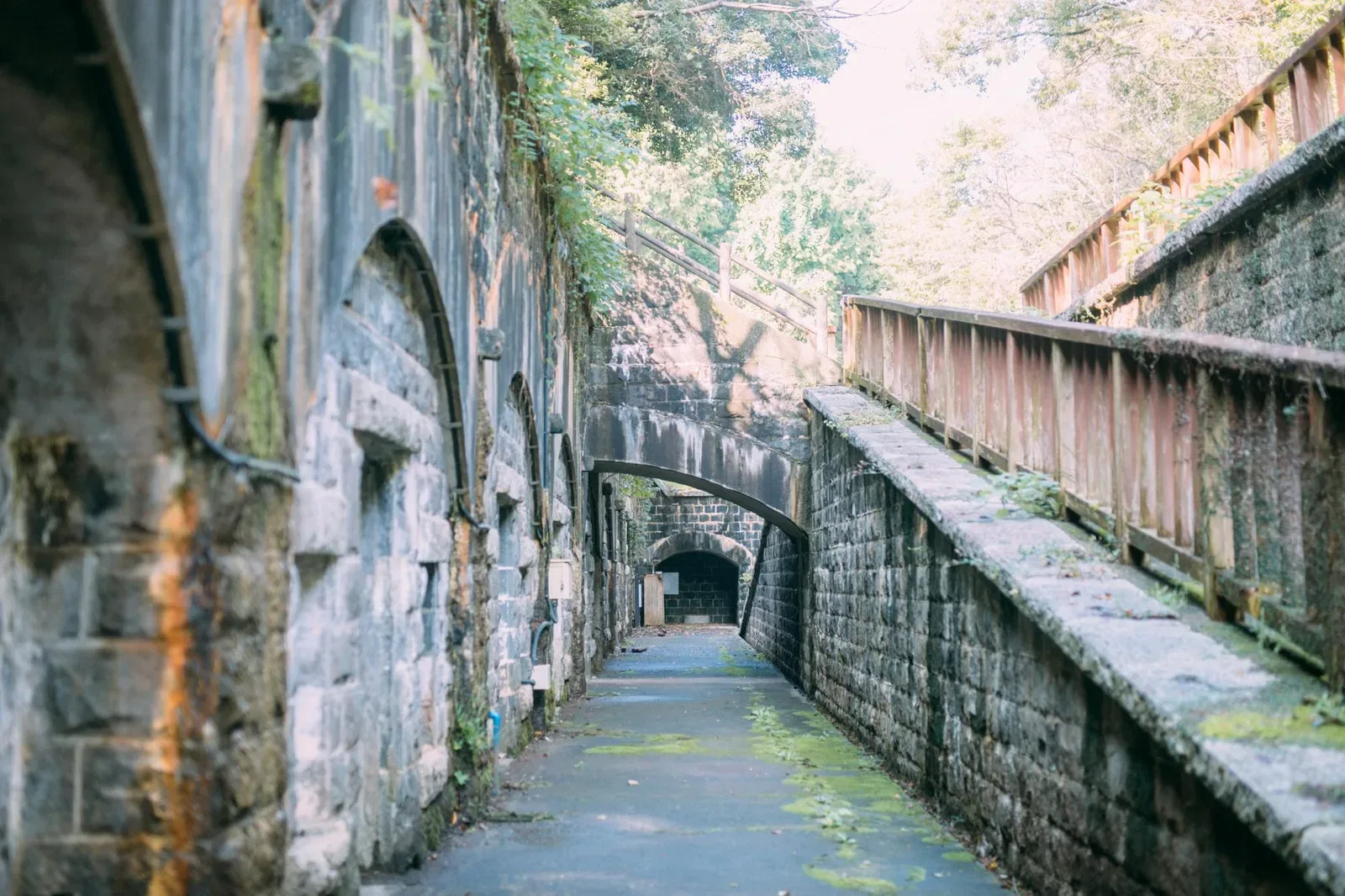 Ishihara Gaku Shinrin Park Campground