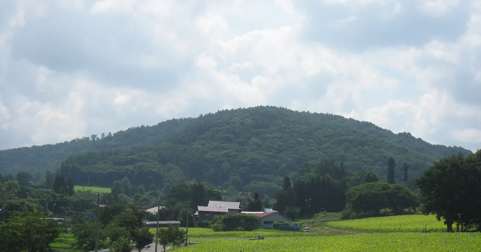 市民の森不習岳キャンプ場