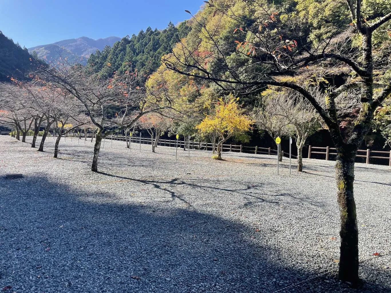 Shinagawa Kumin Park Baabekyuu Ba