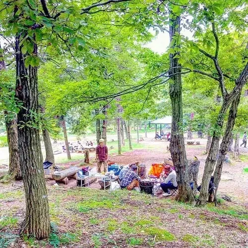 Kitashinano Furusato Forest Bunka Park Dei Campground
