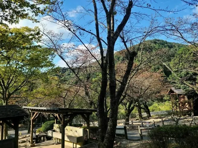 Ipponmatsu Park Campground