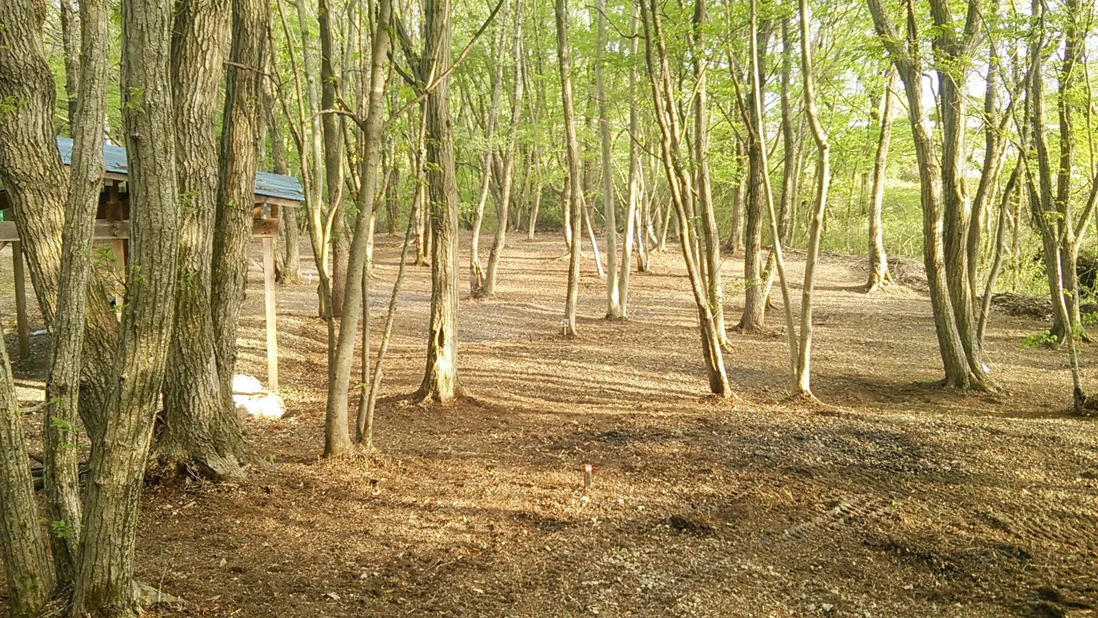 長南寺パークキャンプ場