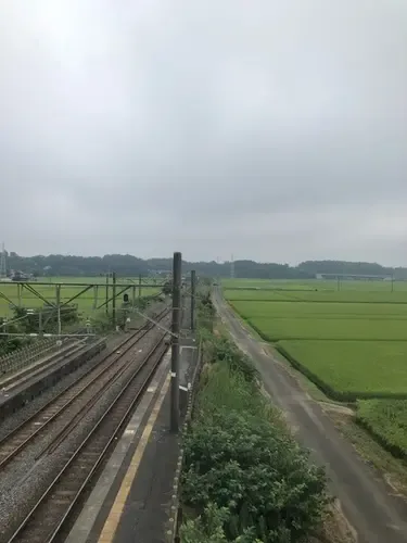 坂田ケ池総合公園キャンプ場