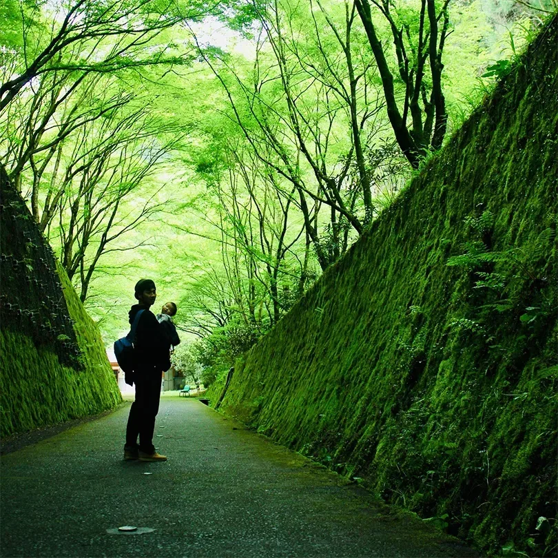 鯛生金山キャンプ場