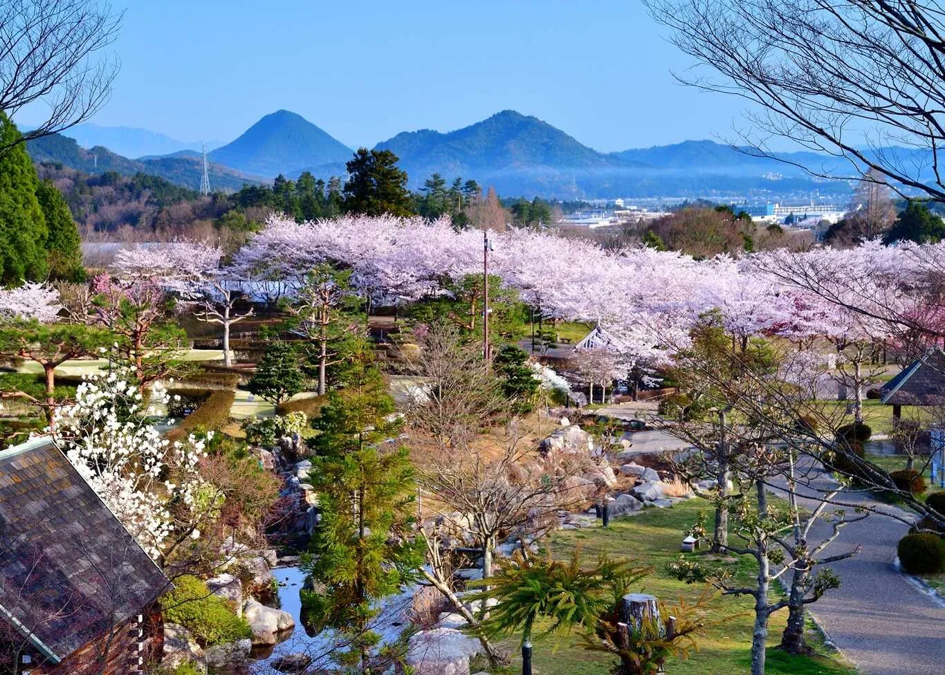 Gokuraku Terayama Campground Kanrijimusho