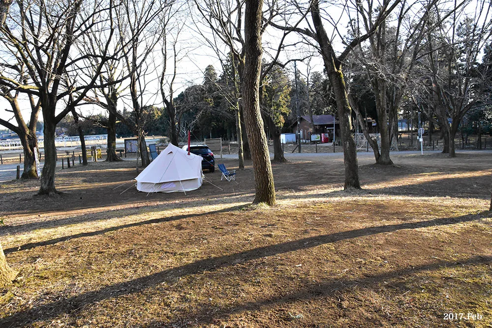 Motegi Funaki Sawa Rogu Forest