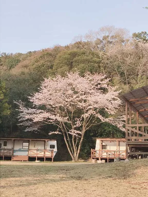 Nettowaaku Resort Nansei