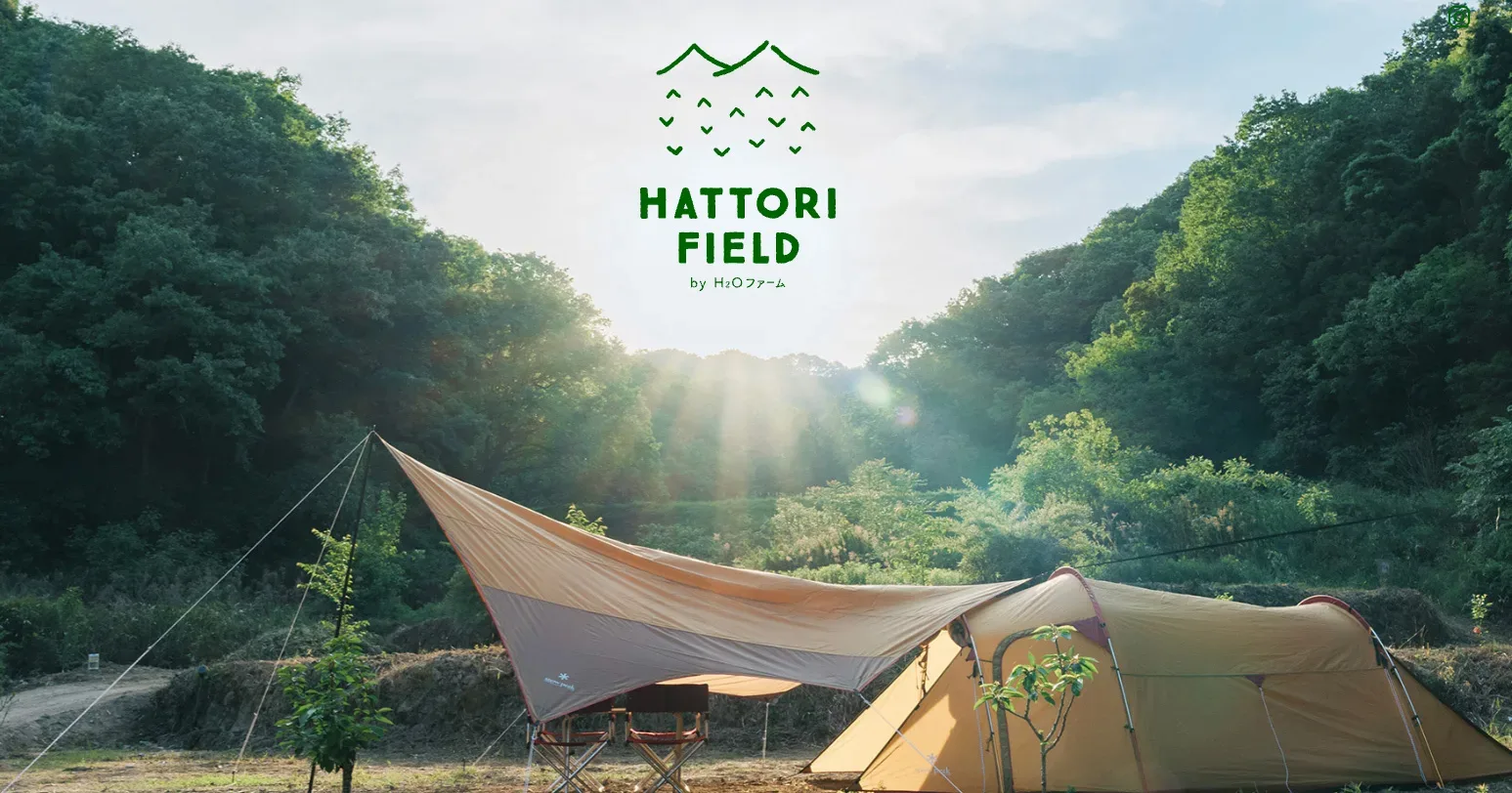 Hattori field