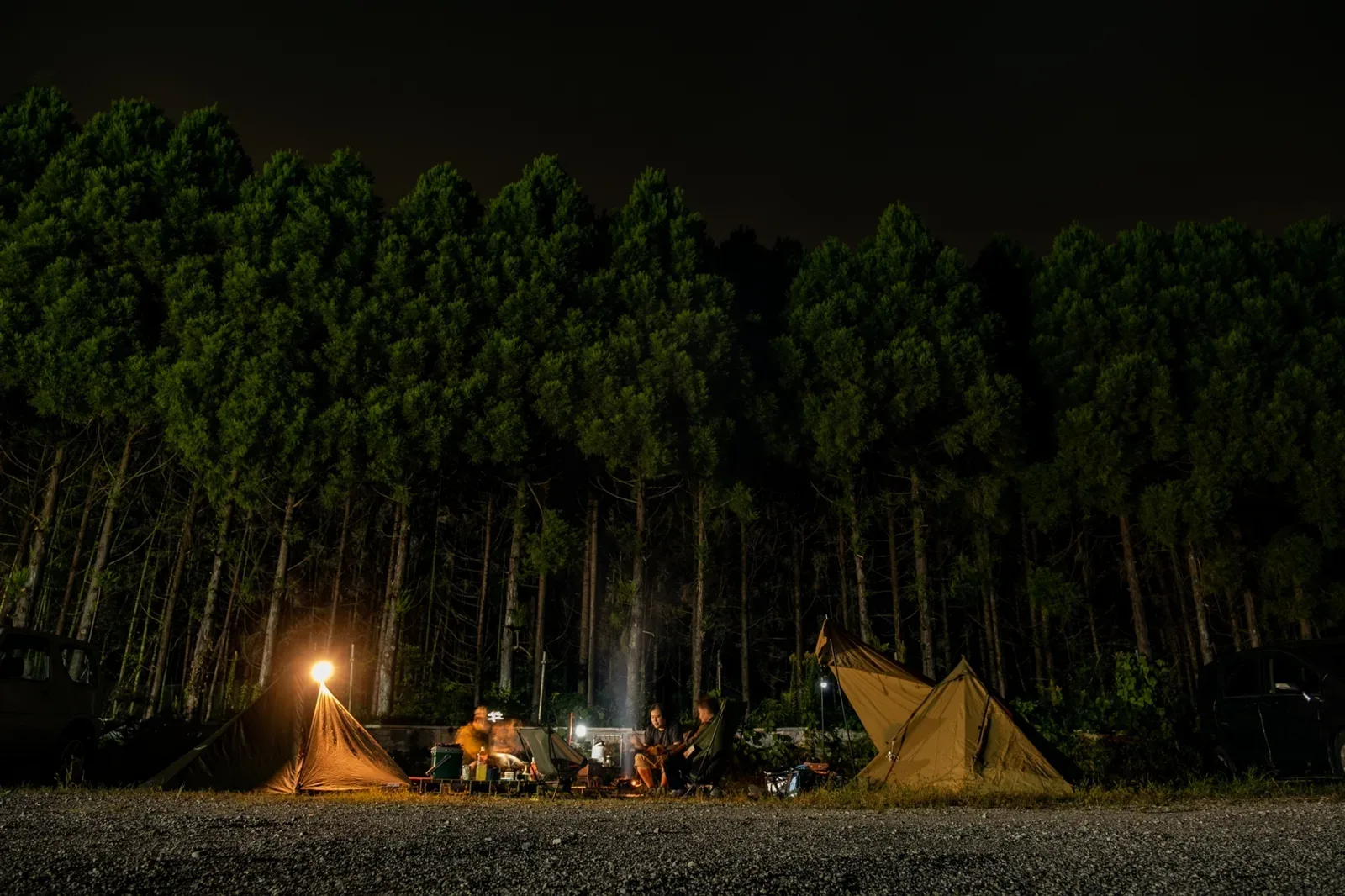 JUNGLE CAMP&BBQ