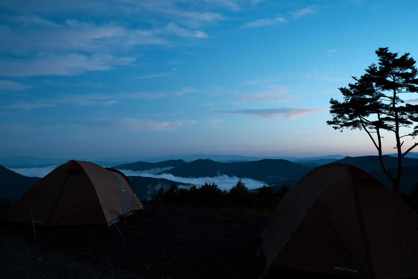 KosugeYanagi CampForest