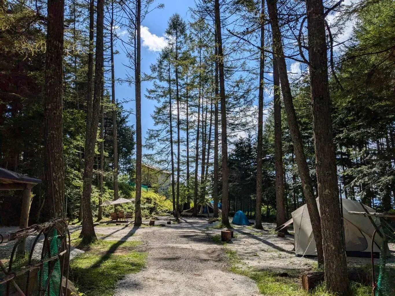 Larch Forest Village