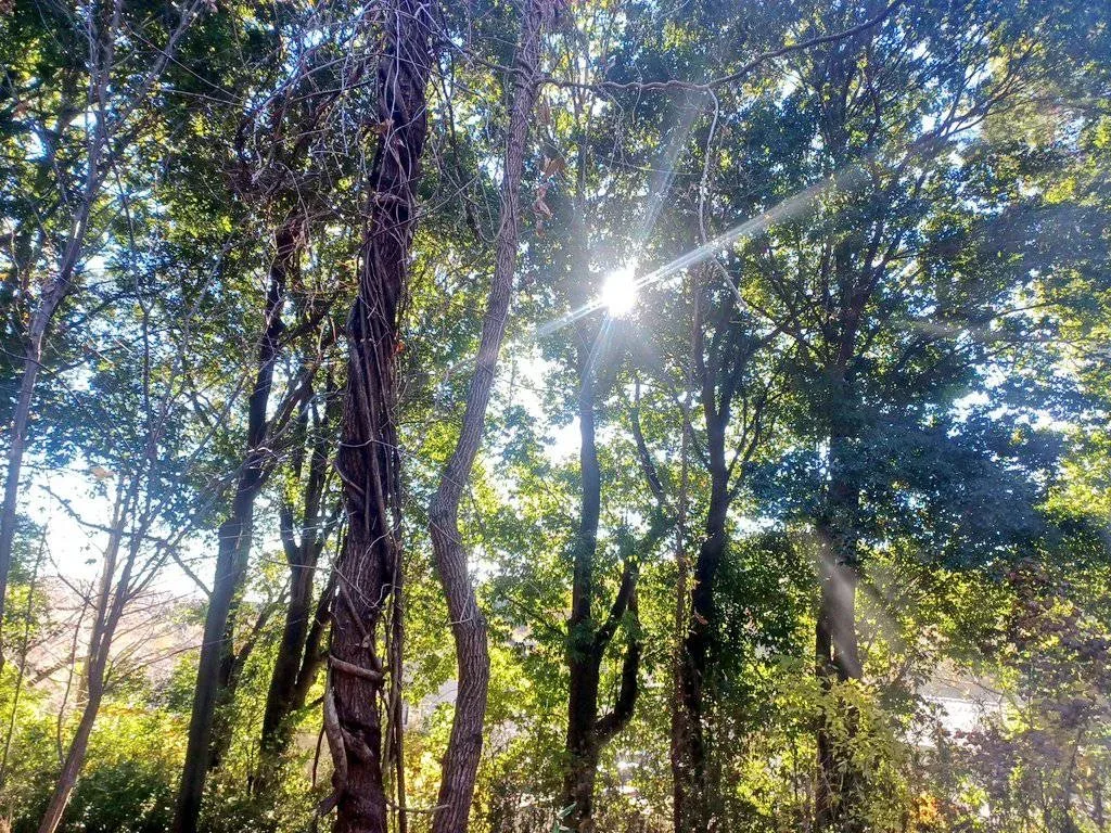 Nature Lab Campground ISHIOKA