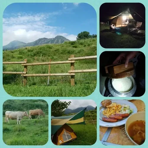 NP Campsite