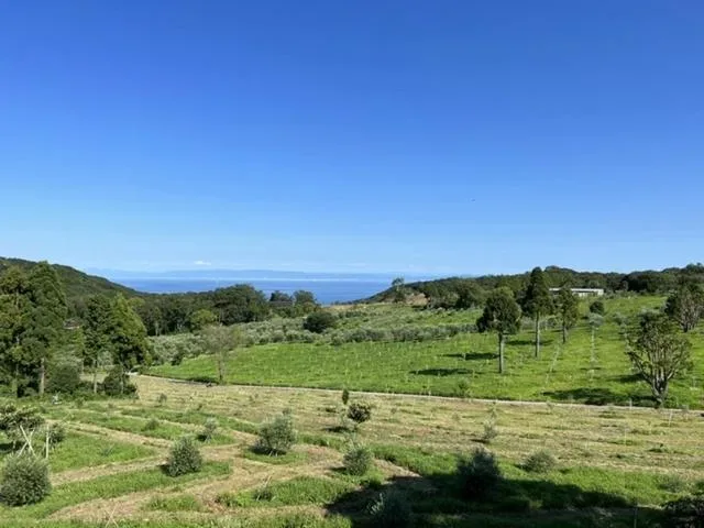オートキャンプエリア Olive GLAMP淡路島 Virgin Valley(オリーブグランプ淡路島バージンバレー)
