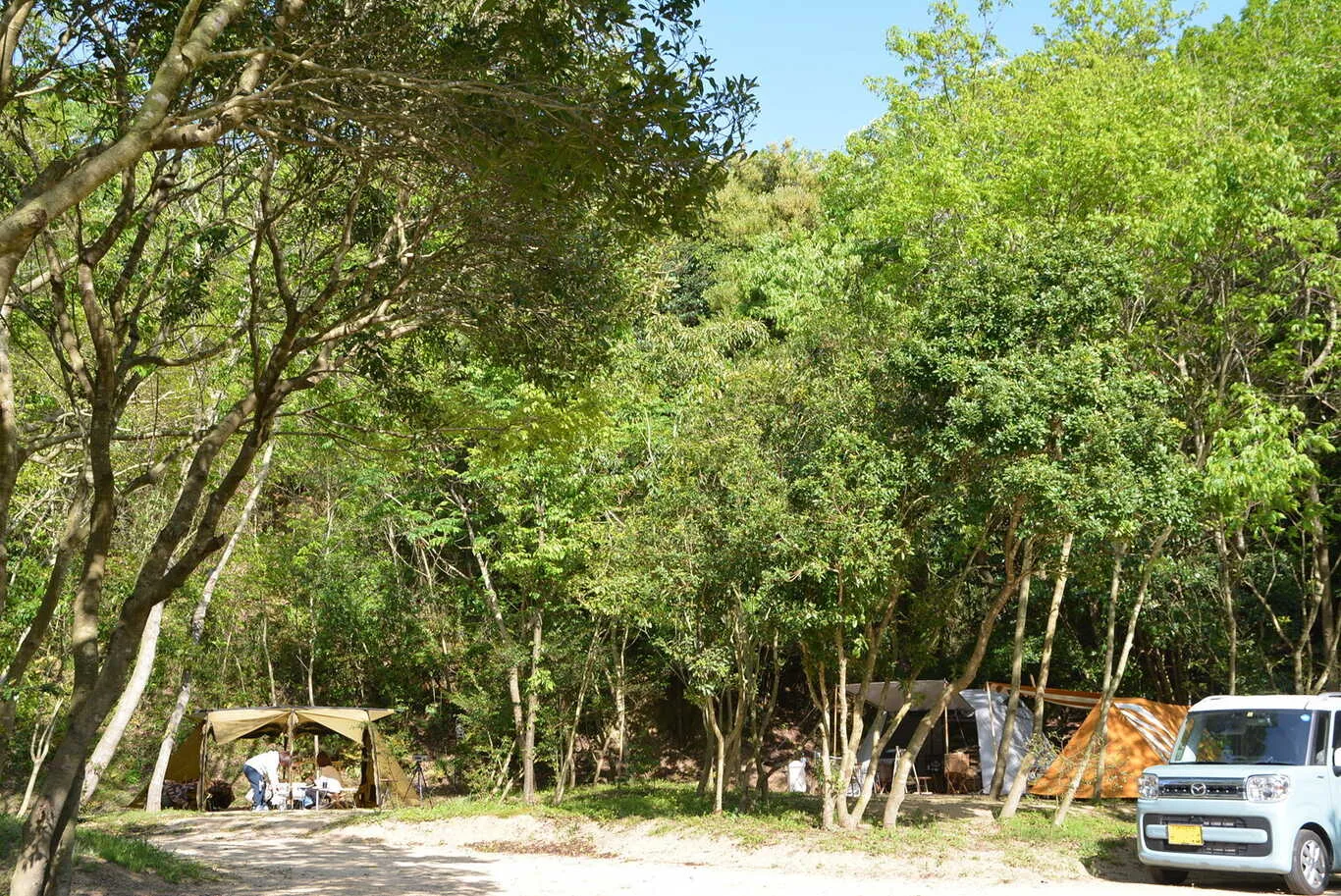 PT Garden