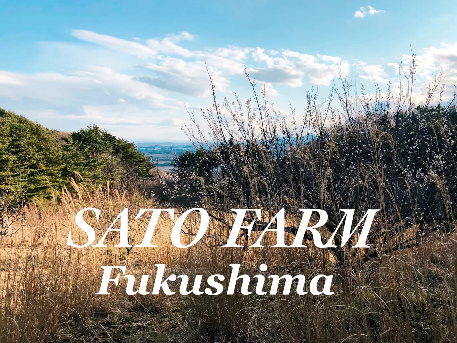 SATO FARM