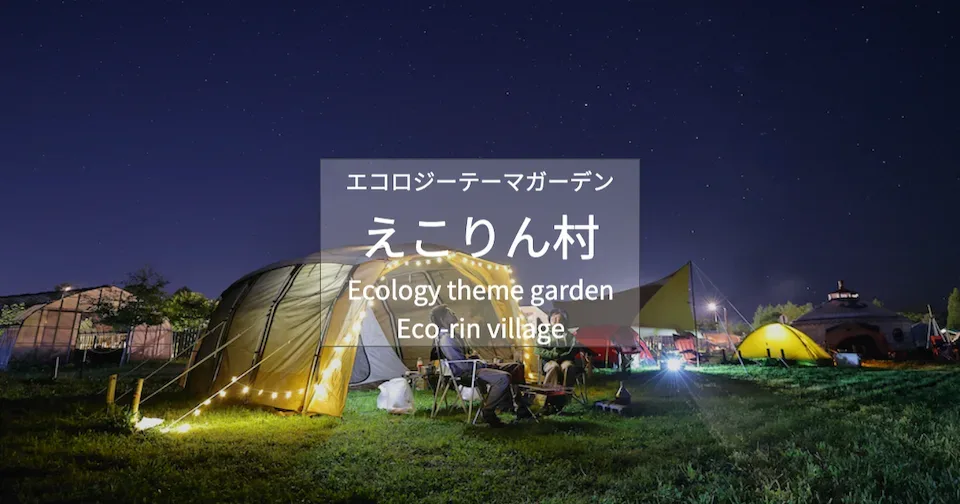 Ekorin Mura Sheep Sheep Camping Field