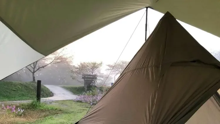 Stargazer Field(キャンプ場)