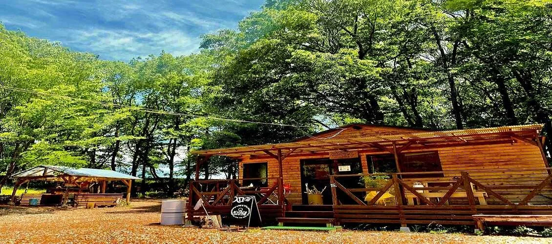 TARUI FOREST FIELD