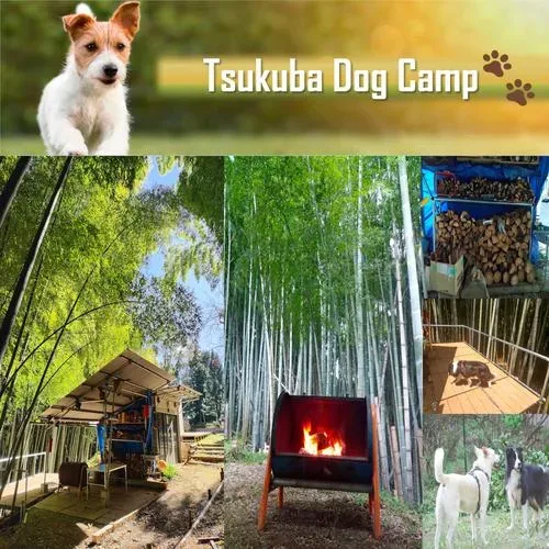 Tsukuba Dog Camp