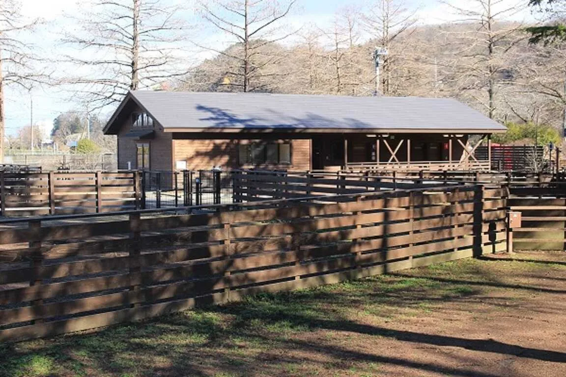 Wandafulvillage